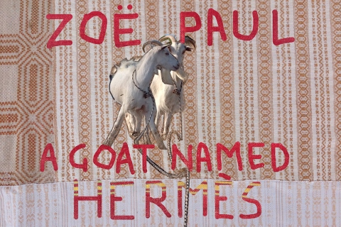 Zoë Paul - Una capra di nome Hermès